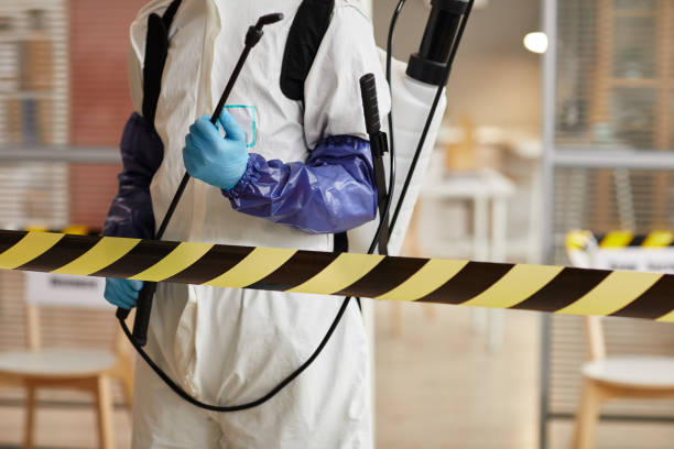 Professional Hoarding Cleanup technician working in Huntington, UT